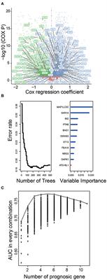 Prognostic Value of an Autophagy-Related Five-Gene Signature for Lower-Grade Glioma Patients